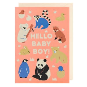 Hello Baby Boy Card