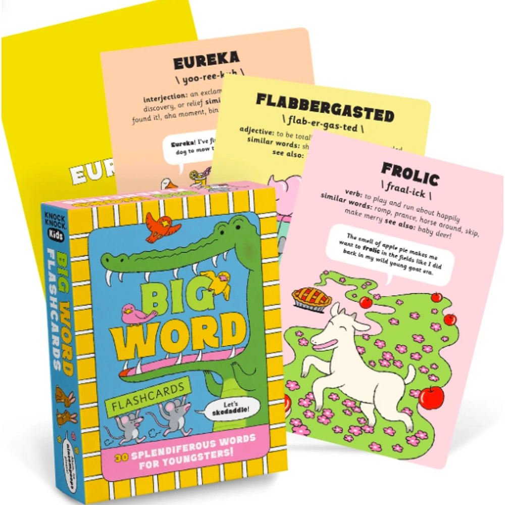 Big word flashcards with a selection of cards to show what they look like